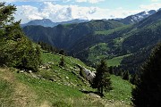 95 Scendo dalla Baita Arletto alla Baita Azzaredo